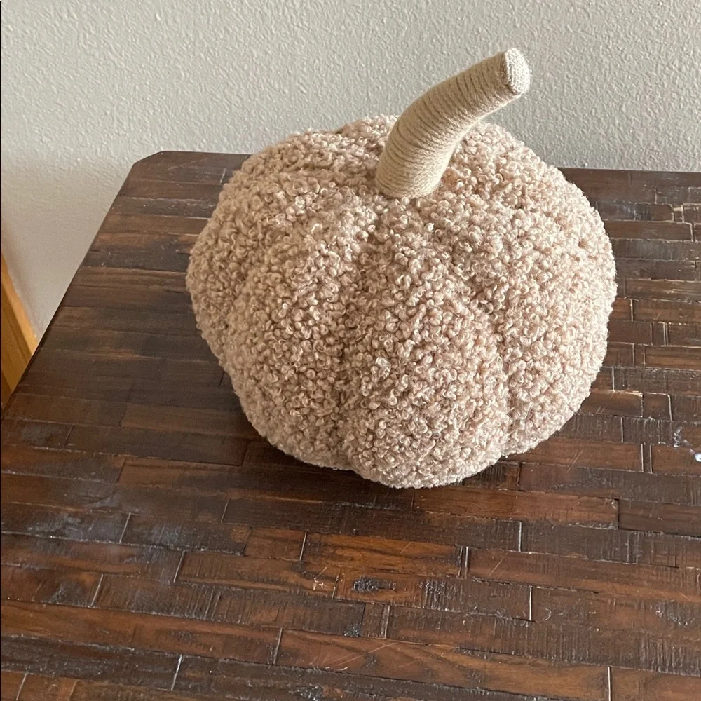 Target Textured Beige Pumpkin Decor